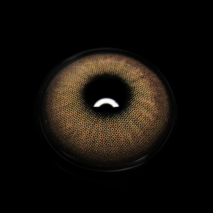 Astrape Brown Coloured Contact Lenses